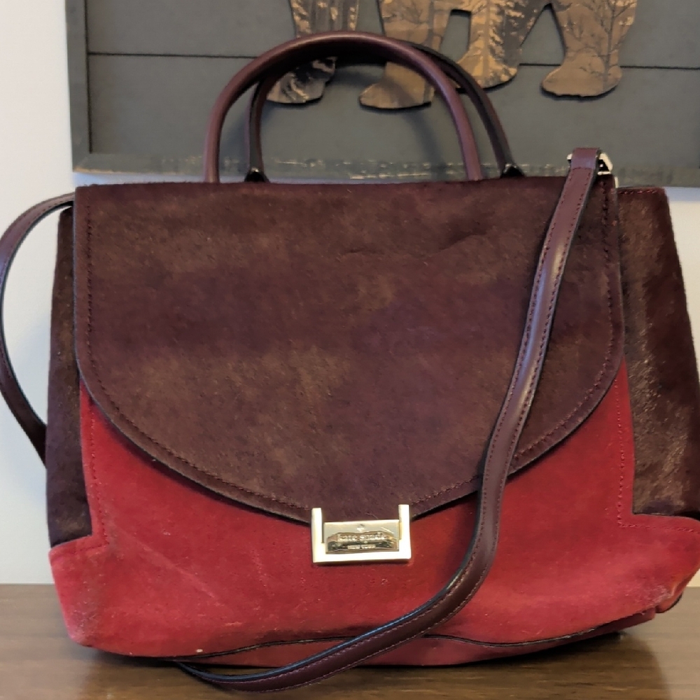 Kate Spade Maroon and Crimson Crossbody Bag